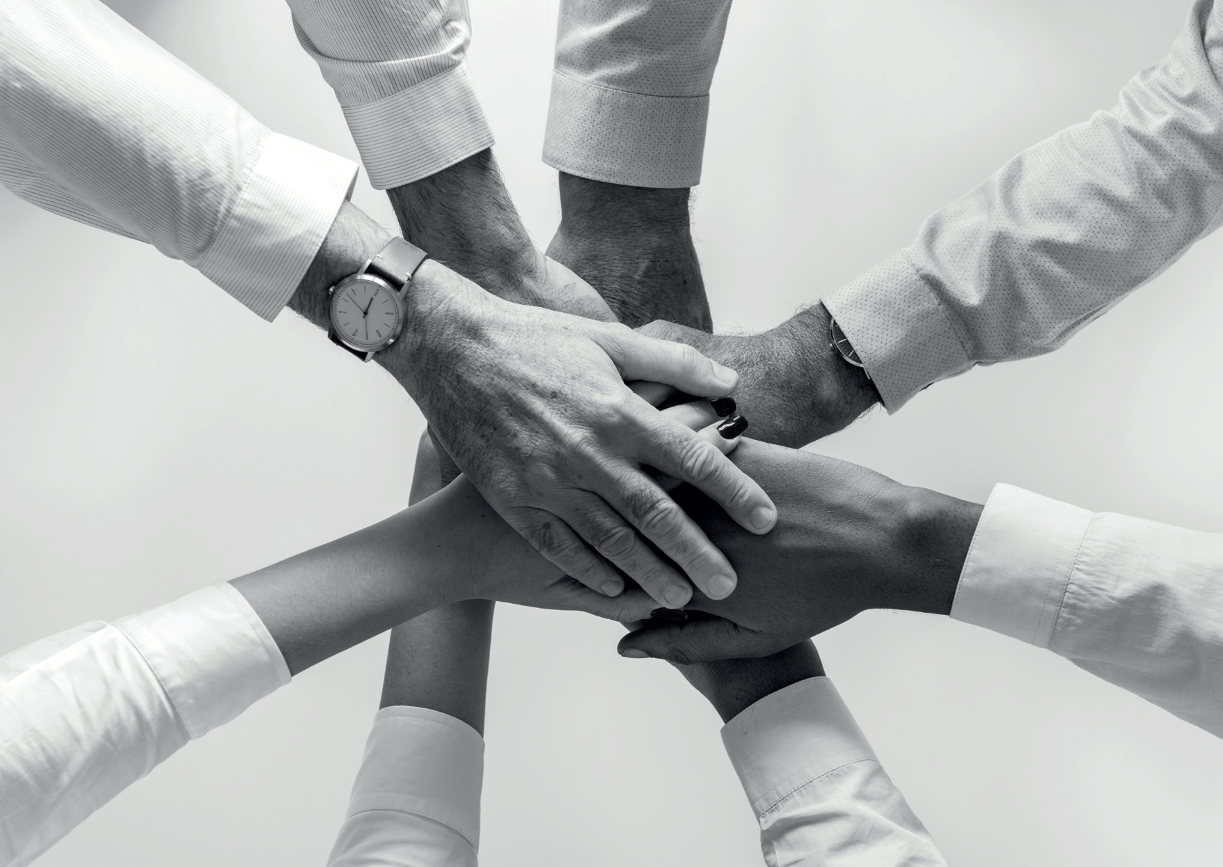 Immagine di molte mani sovrapposte estratta del volantino di FMP